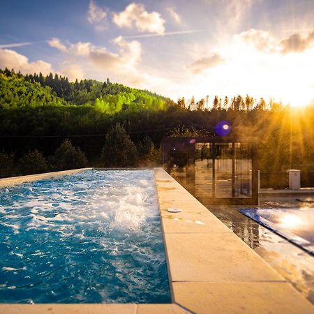 Carpentiere Arena Hotel Rasinari Exterior photo